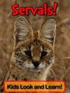 Servals! Learn About Servals and Enjoy Colorful Pictures - Look and Learn! (50+ Photos of Servals) - Becky Wolff