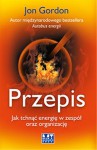 Przepis. Jak tchnąć energię w zespół oraz organizację - Jon Gordon