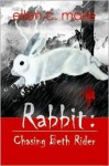 Rabbit Chasing Beth Rider (Rabbit #1) - Ellen C. Maze