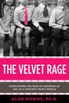 The Velvet Rage: Overcoming the Pain of Growing Up Gay in a Straight Man's World - Alan Downs