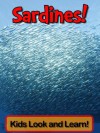 Sardines! Learn About Sardines and Enjoy Colorful Pictures - Look and Learn! (50+ Photos of Sardines) - Becky Wolff