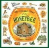 The Life and Times of the Honeybee - Charles Micucci