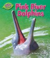 Pink River Dolphins - Rachel Lynette