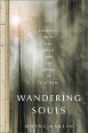 Wandering Souls: Journeys with the Dead and the Living in Viet Nam - Wayne Karlin