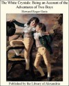 The White Crystals: Being an Account of the Adventures of Two Boys - Howard Roger Garis