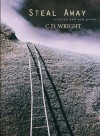 Steal Away: Selected and New Poems - C.D. Wright