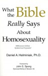 What the Bible Really Says about Homosexuality - Helminiak Daniel