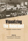 Visualizing the Holocaust: Documents, Aesthetics, Memory - David Bathrick