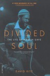 Divided Soul: The Life Of Marvin Gaye - David Ritz