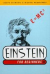 Einstein For Beginners - Joseph Schwartz