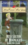 Miss Seeton By Moonlight - Hamilton Crane