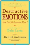 Destructive Emotions - How Can We Overcome Them? - Daniel Goleman