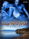 Yellowstone Wild - India Masters