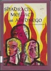 Shadrach, Meshach and Abednego: from the Book of Daniel - Paul Galdone