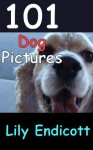 101 Dog Pictures - Lily Endicott