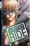 Maximum Ride, Vol. 3 - James Patterson, NaRae Lee