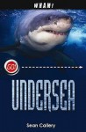 Undersea - Sean Callery