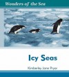 Icy Seas - Kimberley Jane Pryor