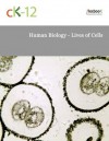 Human Biology - Lives of Cells - CK-12 Foundation