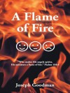 A Flame of Fire - Joseph Goodman