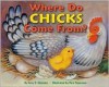 Where Do Chicks Come From? - Amy E. Sklansky, Pamela Paparone