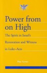 Power from on High: The Spirit in Israel's Restoration and Witness in Luke-Acts - Max Turner