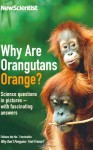 Why Are Orangutans Orange? - Mick O'Hare