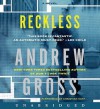 Reckless - Andrew Gross, Christian Hoff