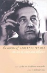 The Cinema of Andrzej Wajda: The Art of Irony and Defiance - John Orr, Elzbieta Ostrowska