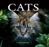 Cats - Louisa Somerville