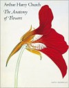 Arthur Harry Church: The Anatomy of Flowers - David Mabberley