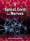 Spinal Cord and Nerves: Injury, Illness And Health (Body Focus) - Steve Parker