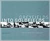 Greyfields into Goldfields: Dead Malls Become Living Neighborhoods - Lee S. Sobel, Ellen Greenberg, Congress for the New Urbanism Staff, Steven Bodzin, Foreword by Jonathan Miller