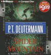 Spider Mountain (Cam Richter Series) - P.T. Deutermann, Dick Hill