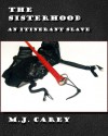 An Itinerant Slave - M.J. Carey