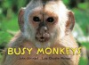 Busy Monkeys - John Schindel