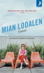 Trekant - Mian Lodalen