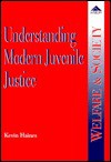 Understanding Modern Juvenile Justice: The Organizational Context Of Service Provision (Swansea Social Studies) - Kevin Haines