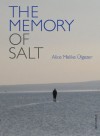 The Memory of Salt - Alice Melike Ulgezer