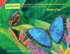 How Does a Caterpillar Become a Butterfly?: And Other Questions about Butterflies - Melissa Stewart