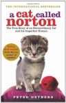 A Cat Called Norton: The True Story of an Extraordinary Cat and his Imperfect Human - Peter Gethers