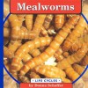 Mealworms - Donna Schaffer