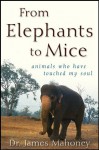 From Elephants to Mice: Animals Who Have Touched My Soul - James Mahoney