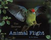 The Secrets of Animal Flight - Nic Bishop