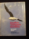 Jonathan Livingston Seemeeu - Richard Bach, Russell Munson, André Brink