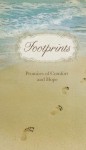 Footprints-PI - Jill Jones, Lisa Franke, Jeff Franke