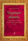 Stygnąca planeta. Polska krytyka artystyczna wobec malarstwa historycznego i historii - Waldemar Okoń