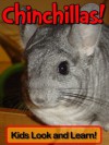 Chinchillas! Learn About Chinchillas and Enjoy Colorful Pictures - Look and Learn! (50+ Photos of Chinchillas) - Becky Wolff