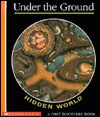 Hidden World: Under the Ground (A First Discovery Book) - Claude Delafosse