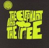 The Elephant and the Tree - Jin Pyn Lee